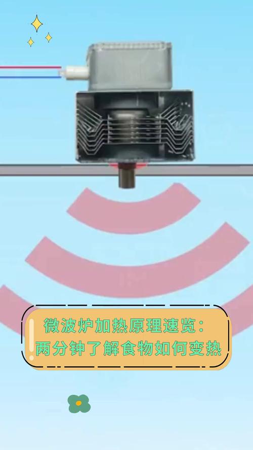 微波炉加热食物的原理（微波炉加热食物的原理和方法）