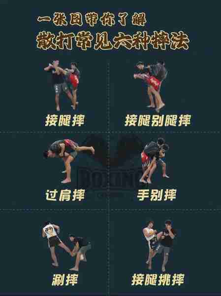 摔比跤术解跤跤比（比例摔跤）