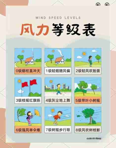 包含风用术用风风用应的词条