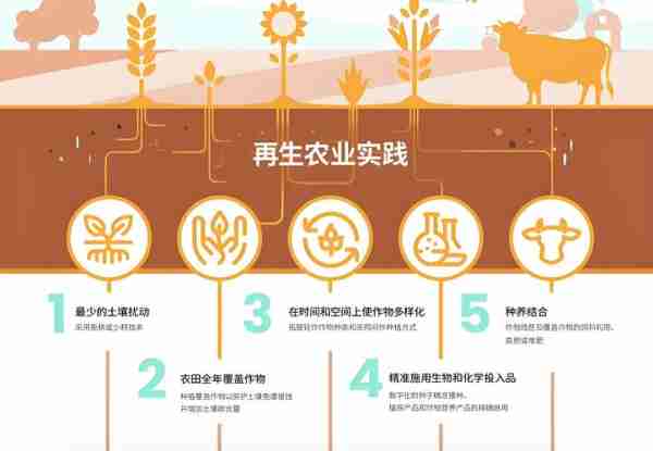 农续展可业持发（农业可持续发展技术）