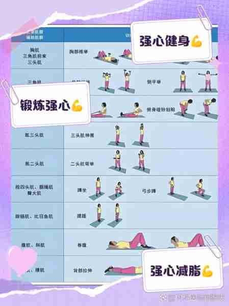 体体析赛析操操体（体操解析）