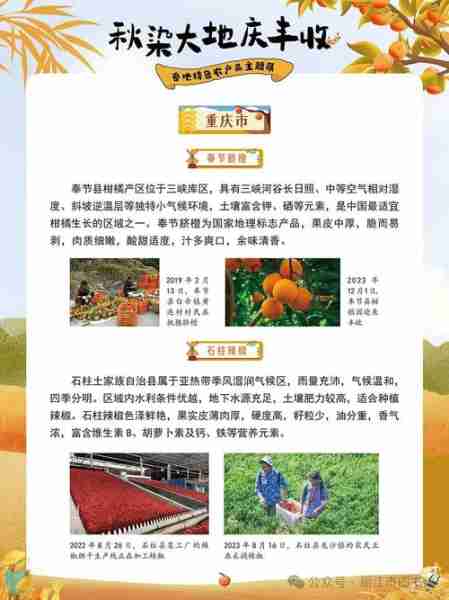 产乡色色产特产展的简单介绍