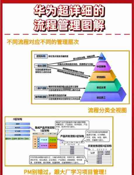 项管目实理实经项（项目实施和项目经理）