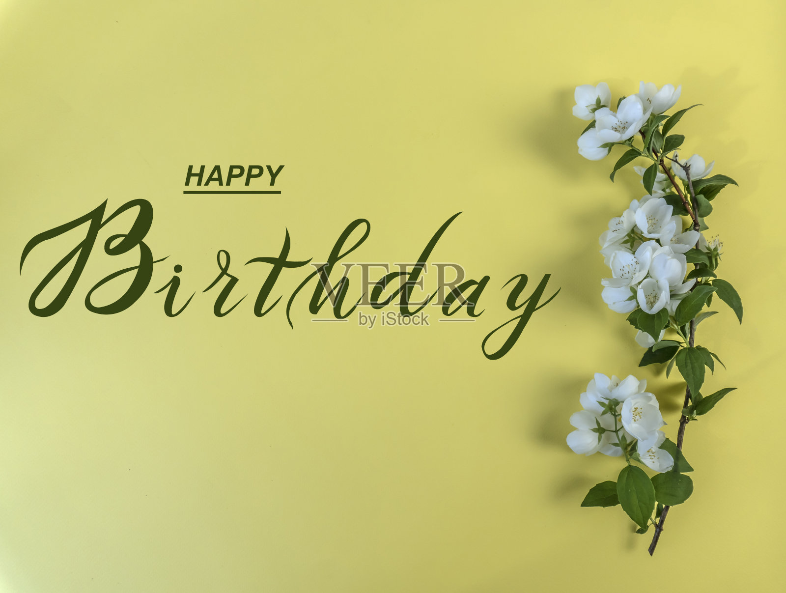 互联网的“生日”_互联网的生日