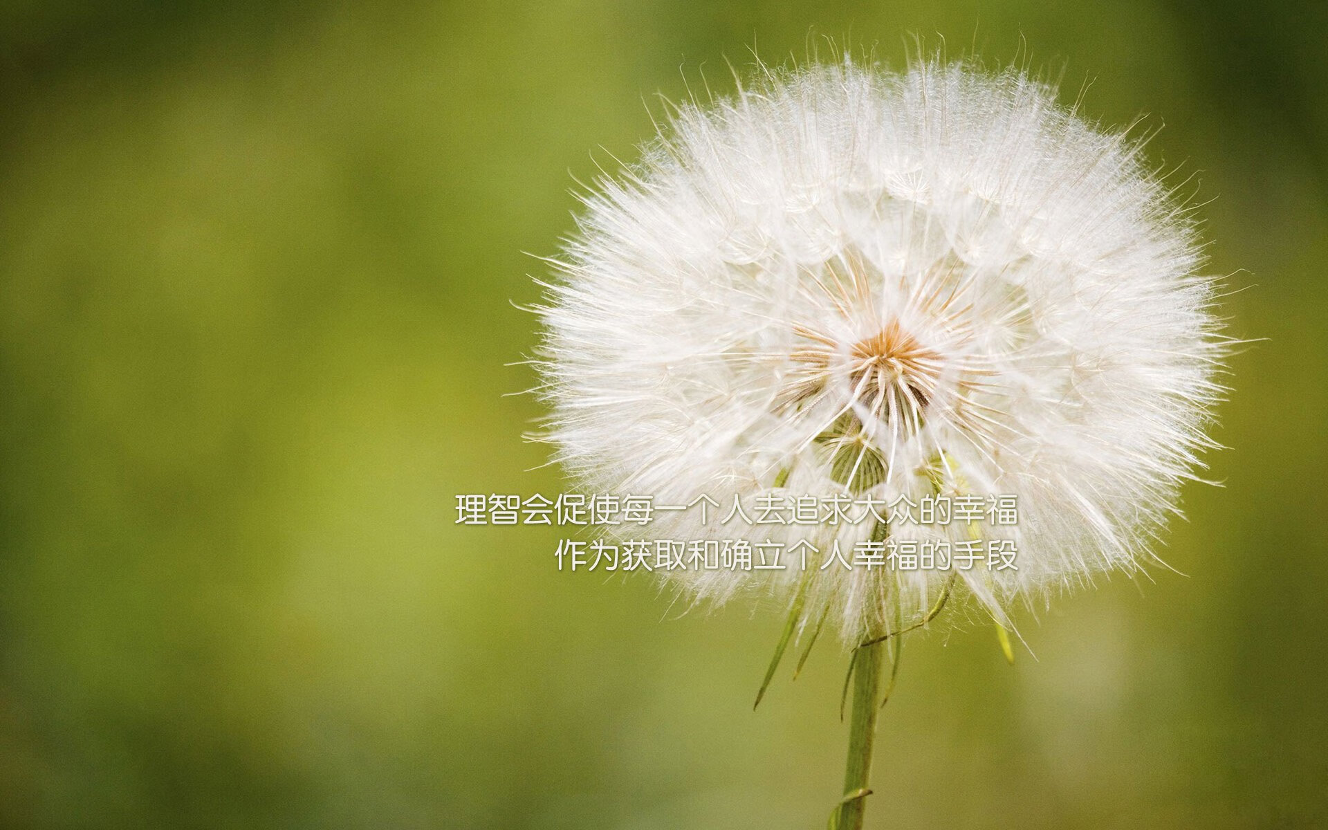 亚洲人普遍乳糖不耐受_亚洲乳糖不耐受人群比例