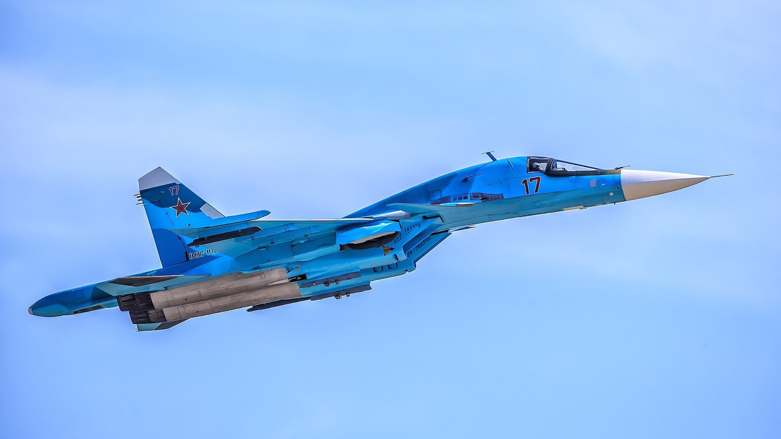 最古老的活体植物_最古老的活体植物图片