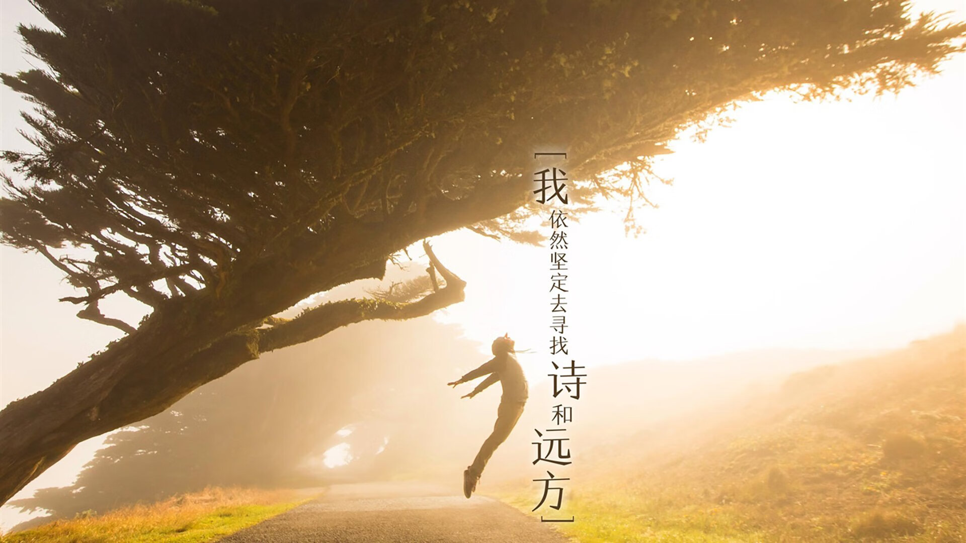 胶水为什么能粘东西？_胶水为什么那么黏