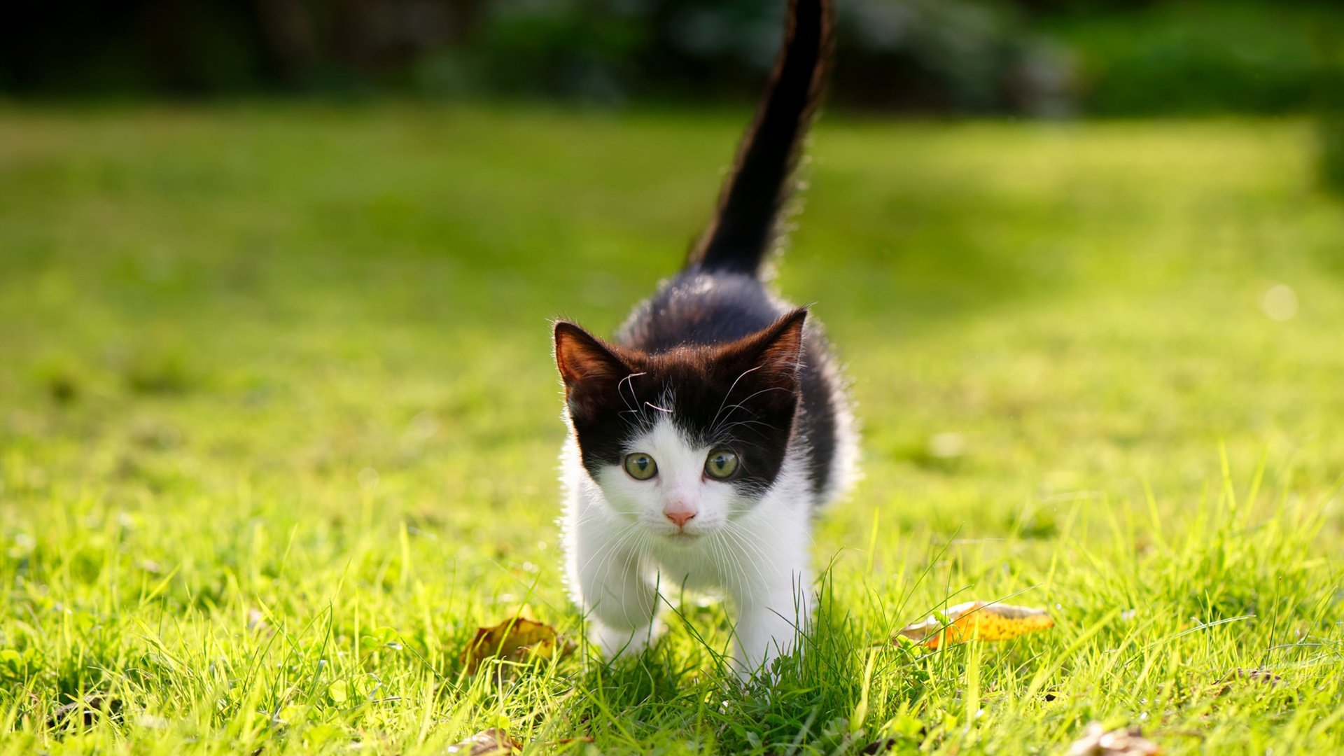 胶水为什么能粘东西？_胶水为什么那么黏