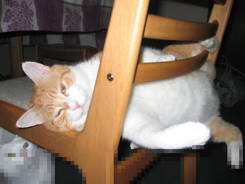 红海：最温暖的海洋_红海的具体位置在哪