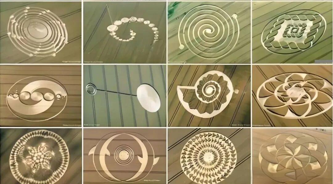 麦田圈与外星信息_麦田圈破译了