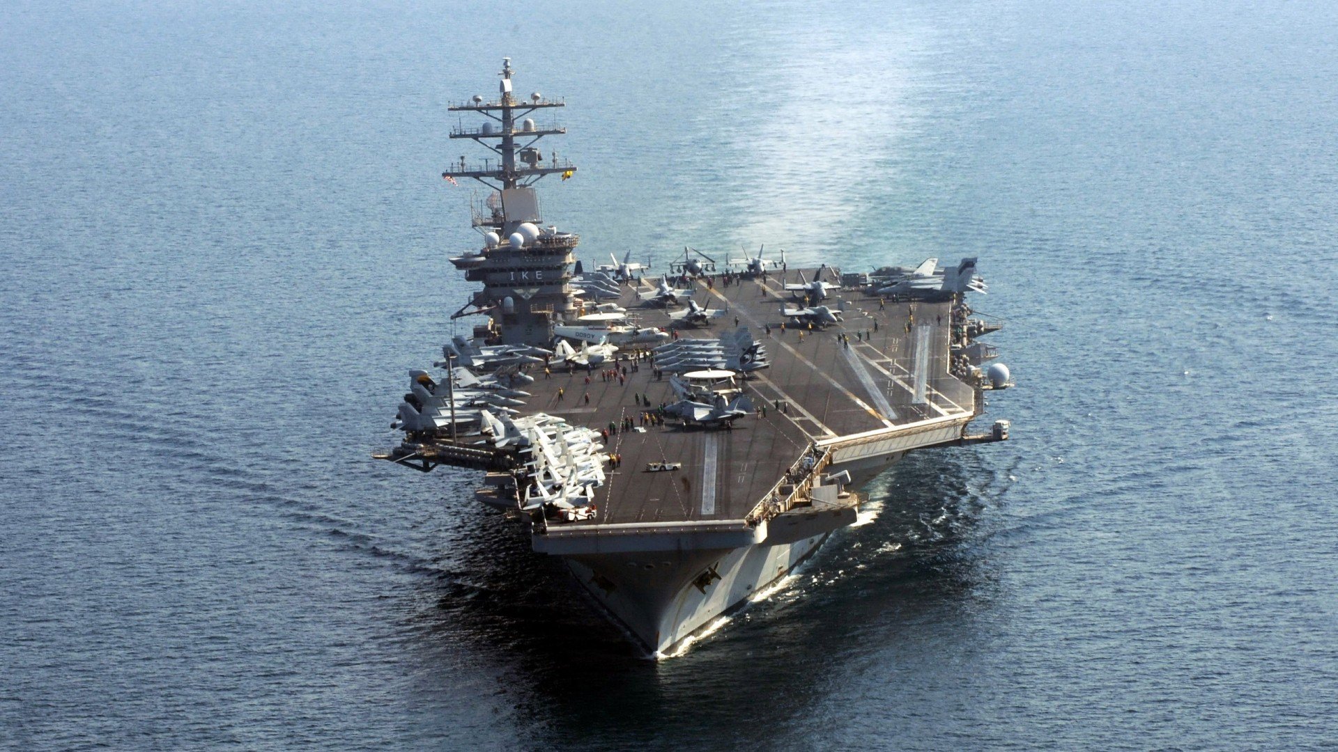 树懒一周下一次树_树懒多少年了